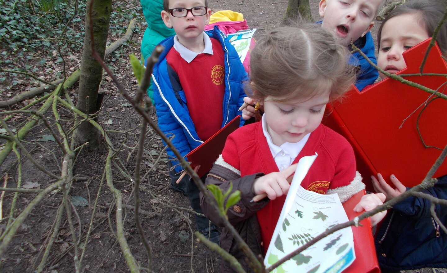 Image of Nature walk